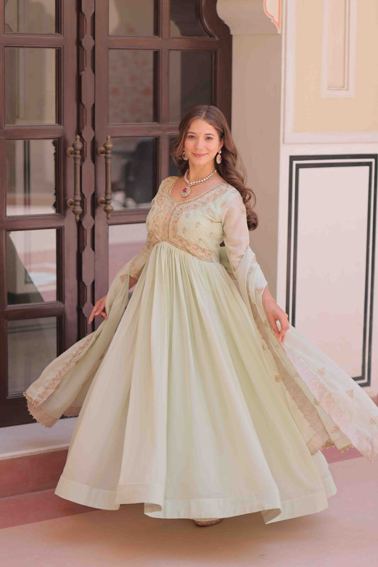 Pista Color Star Georgette Embroidered Gown
